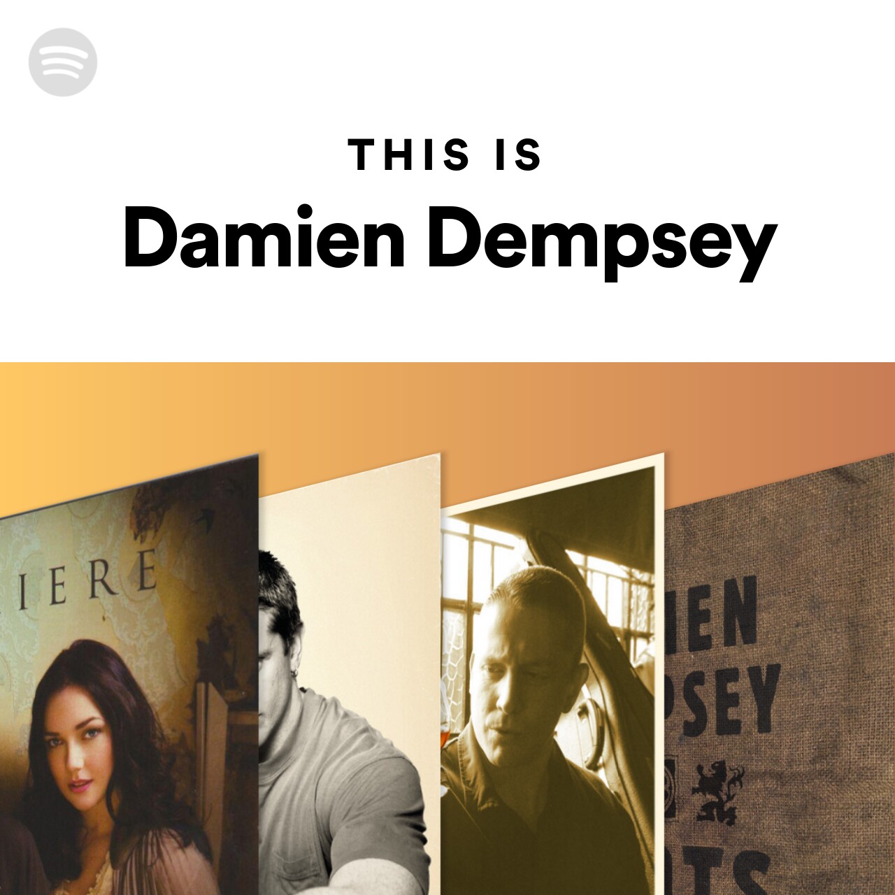 This Is Damien Dempsey