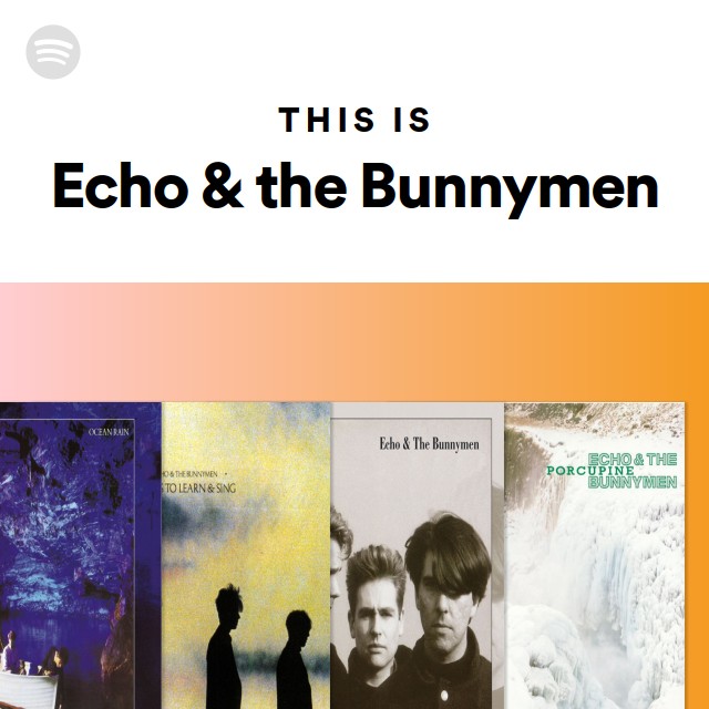 Imagem de Echo & The Bunnymen