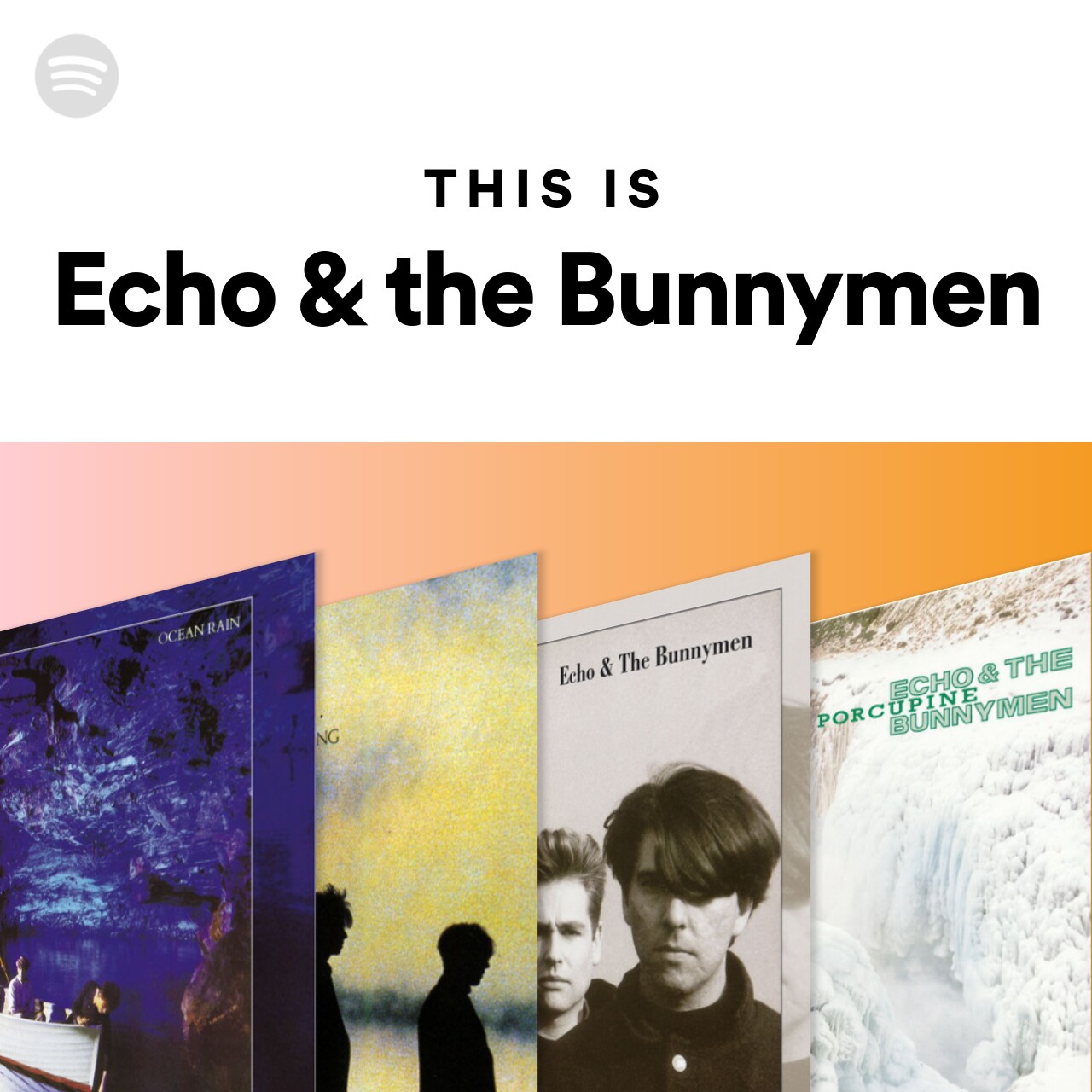 This Is Echo & the Bunnymen