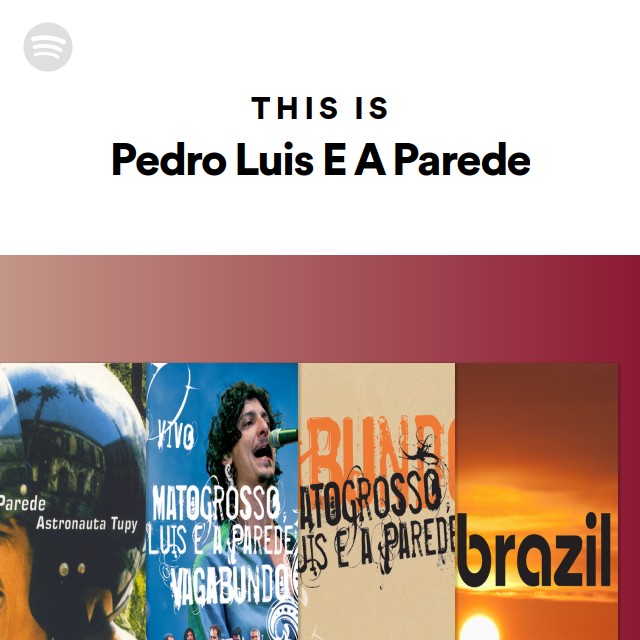 Imagem de Pedro Luís & A Parede