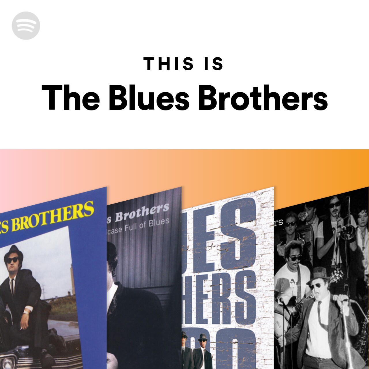 This Is The Blues Brothers