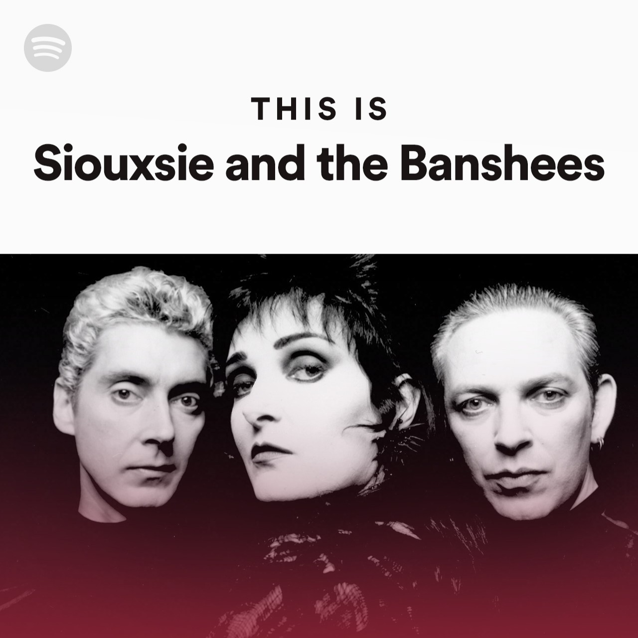 This Is Siouxsie and the Banshees
