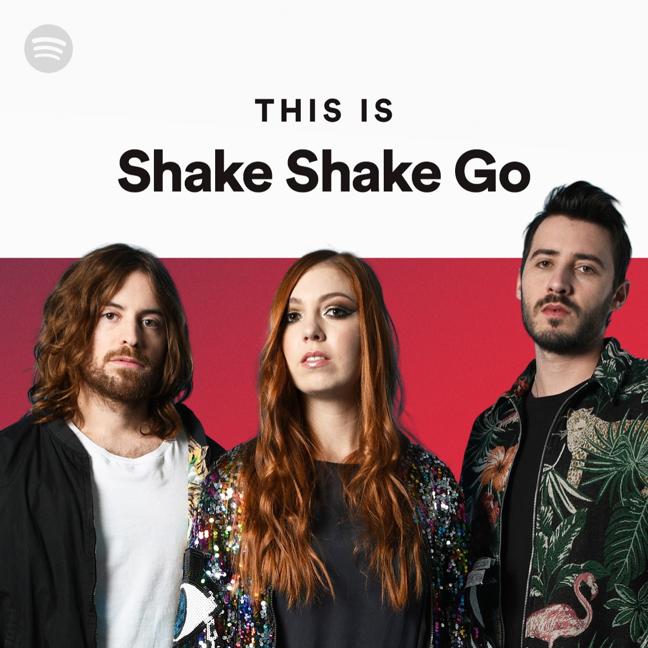Imagem de Shake Shake Go