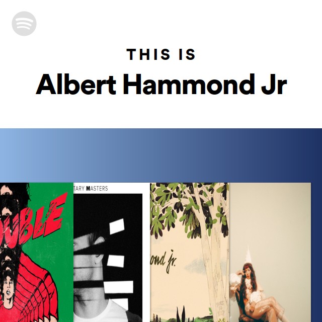 Imagem de Albert Hammond Jr.