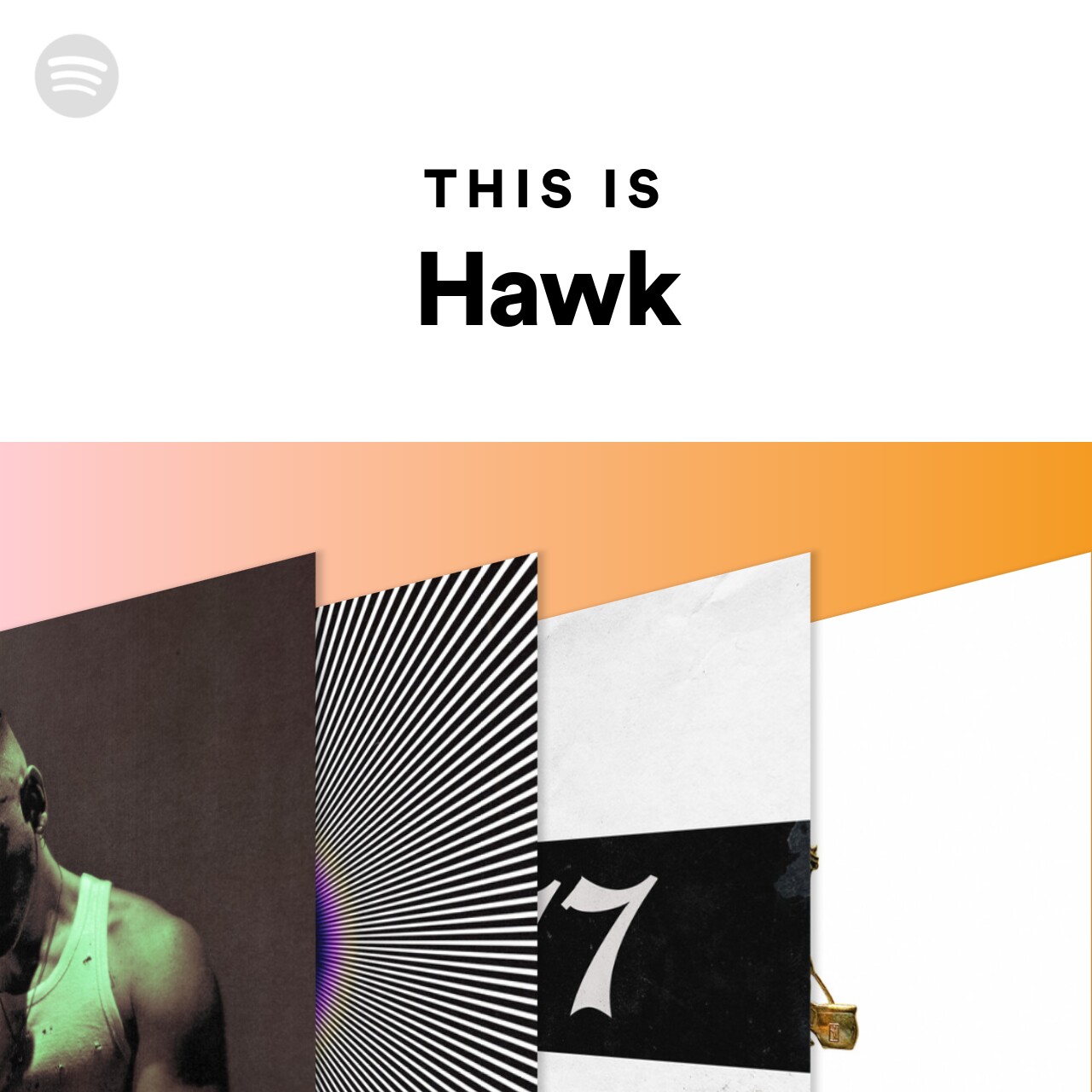 This Is Hawk
