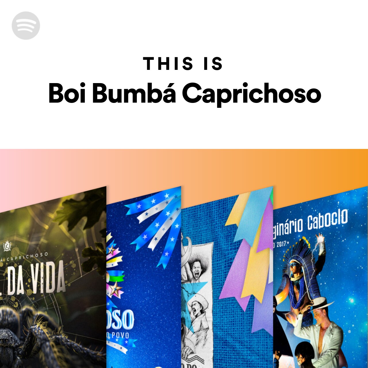 This Is Boi Bumbá Caprichoso
