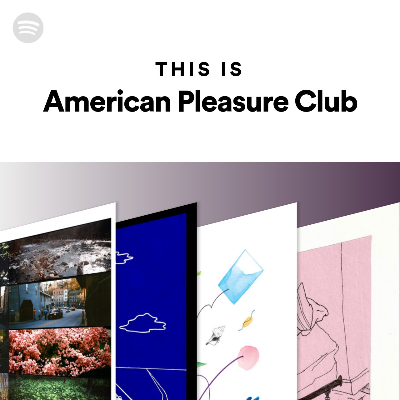 This Is American Pleasure Club