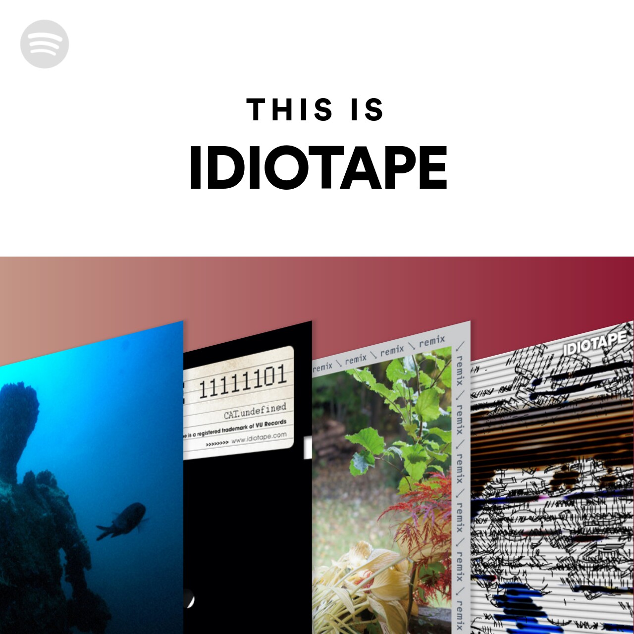 This Is IDIOTAPE