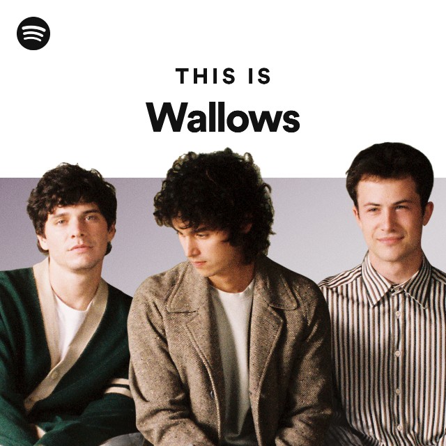 Imagem de Wallows