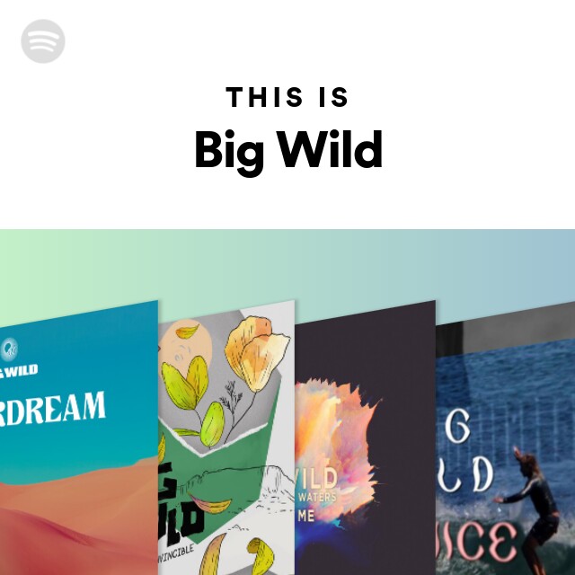 This Is Big Wild - Playlist By Spotify 