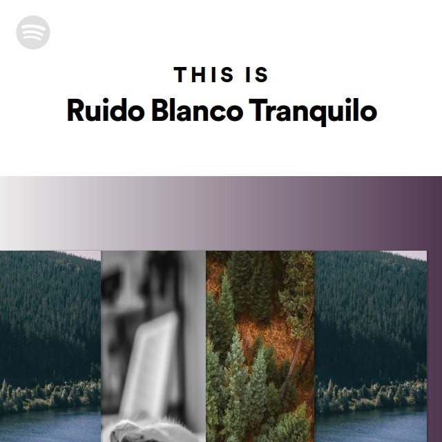 Sonido blanco para dormir bien Radio - playlist by Spotify