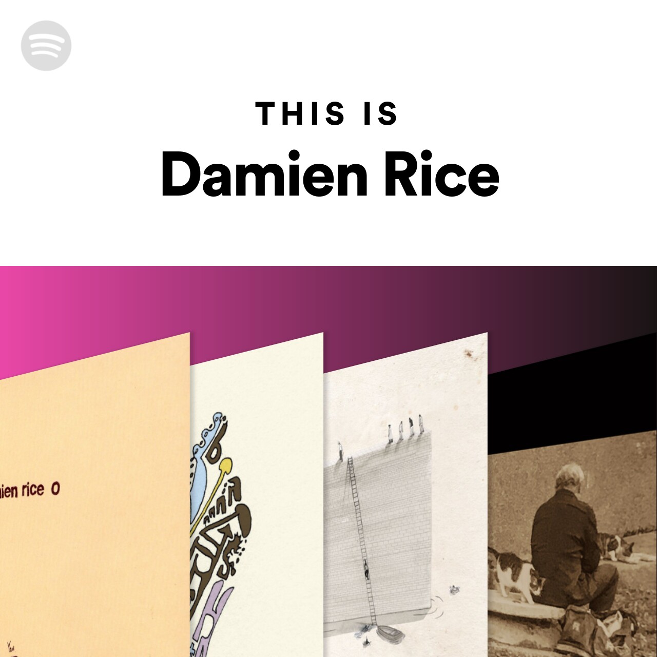 This Is Damien Rice