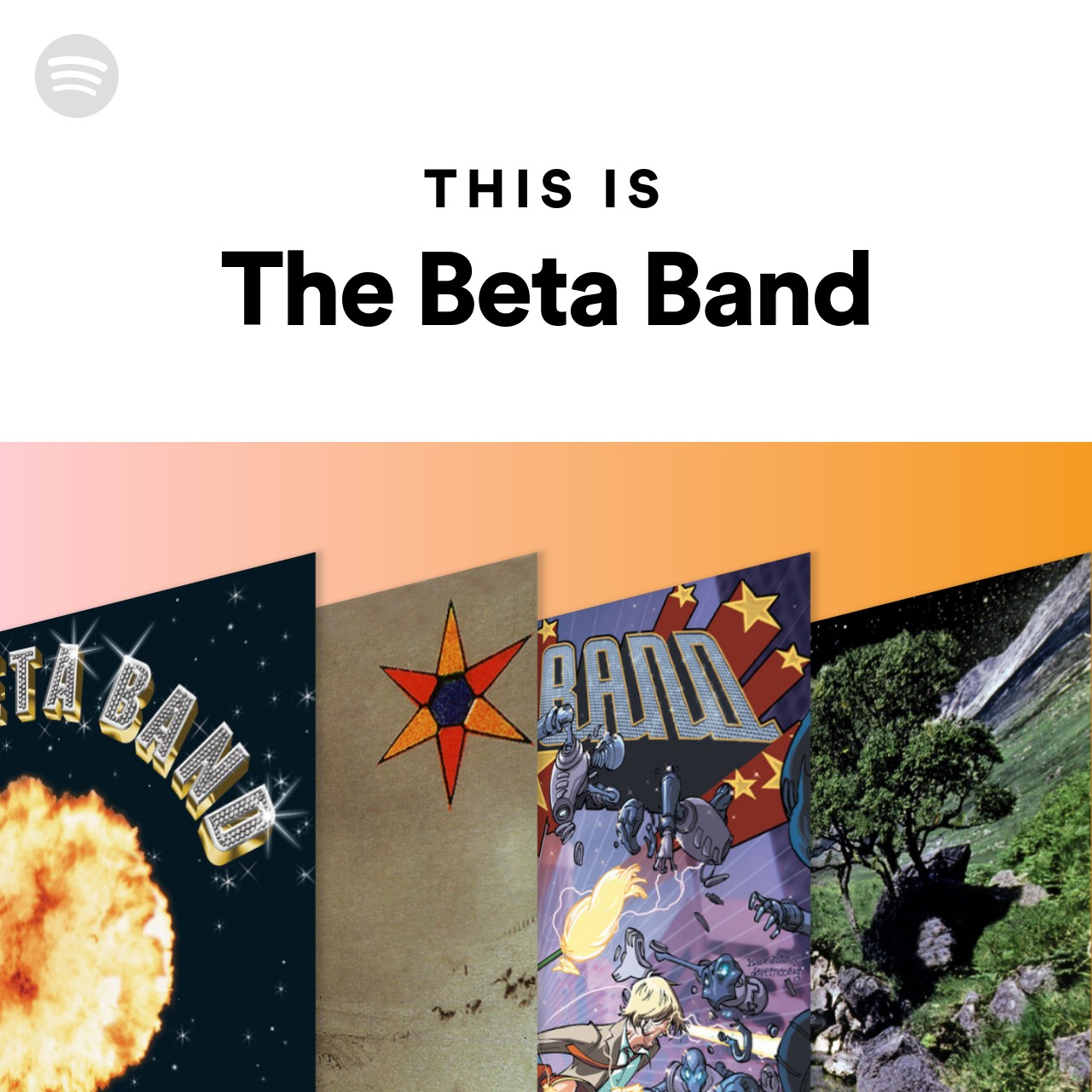 This Is The Beta Band