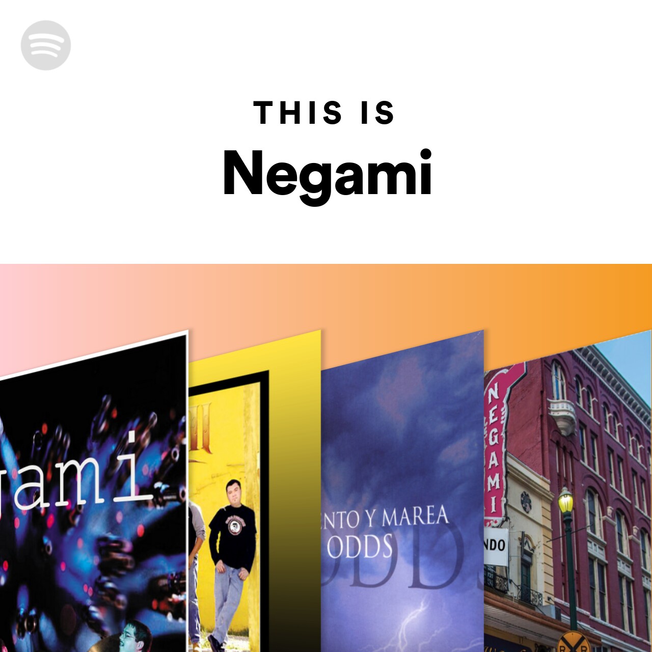 This Is Negami