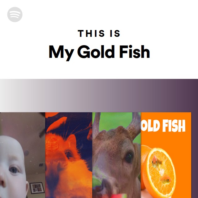 This Is My Gold Fish - playlist by Spotify | Spotify