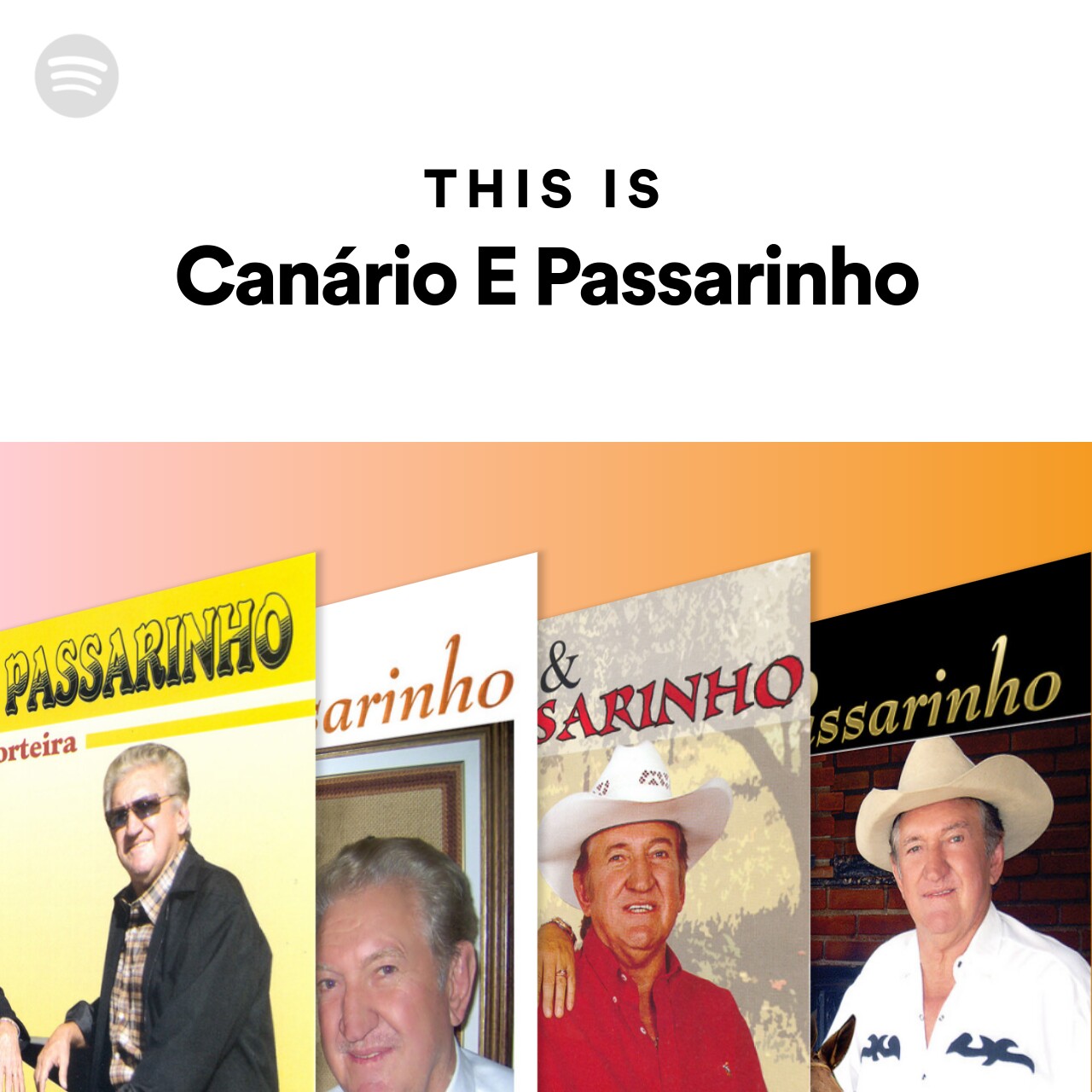 Imagem de Canário e Passarinho