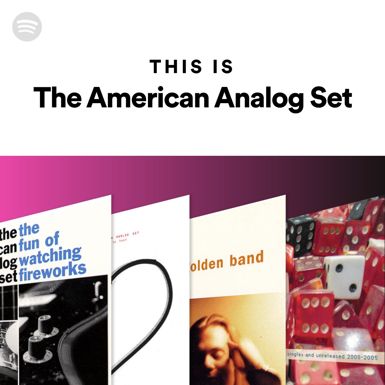 This Is The American Analog Set