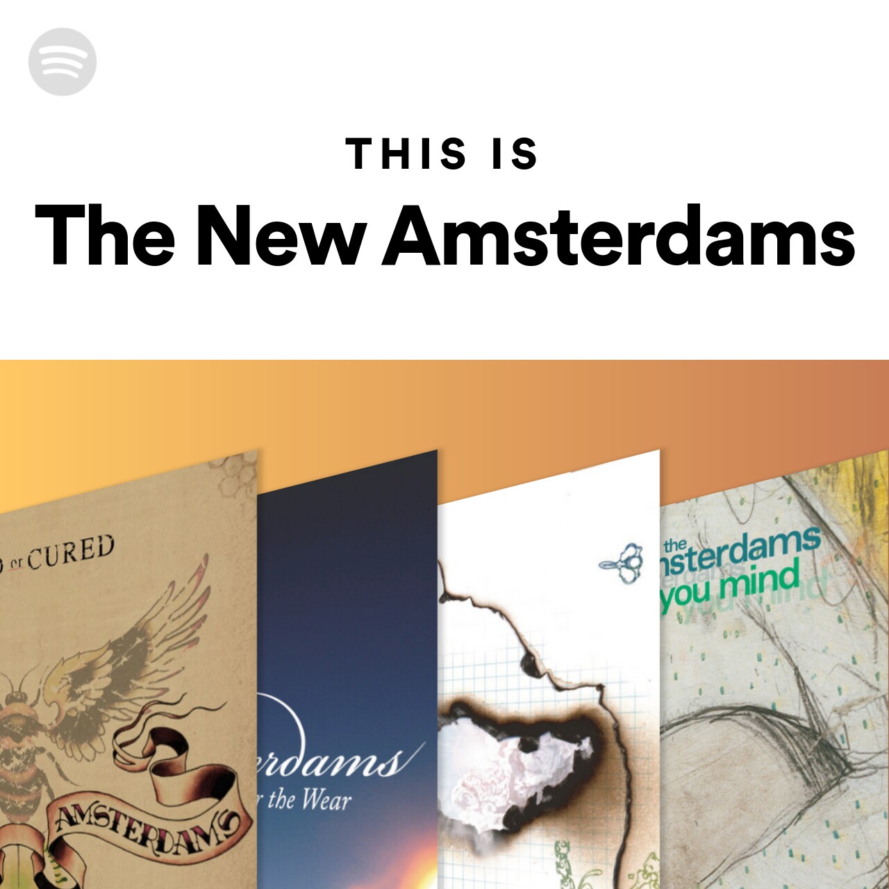 This Is The New Amsterdams