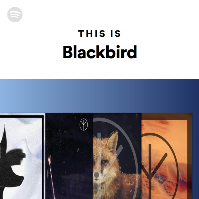 This Is Blackbird - playlist by Spotify | Spotify