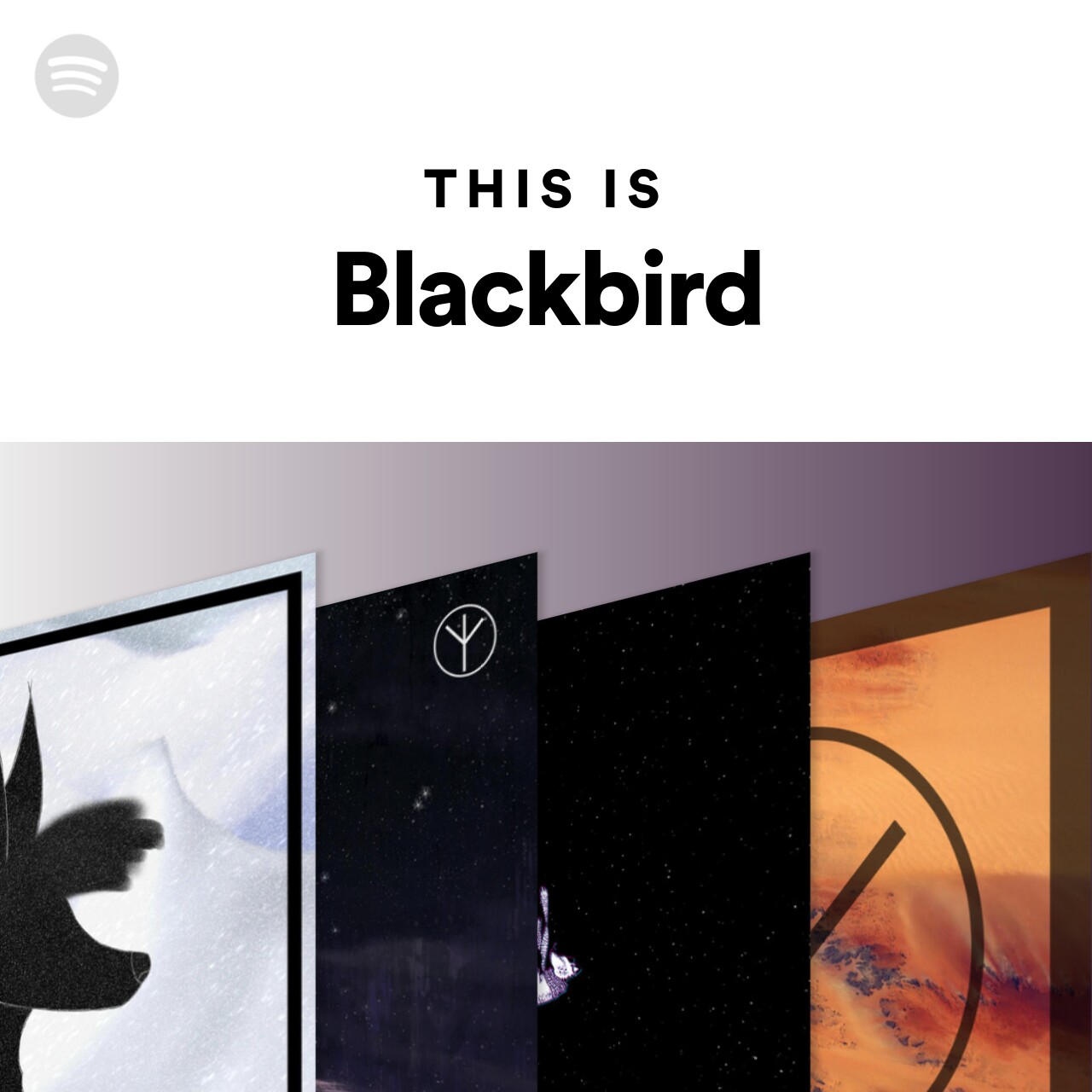 This Is Blackbird