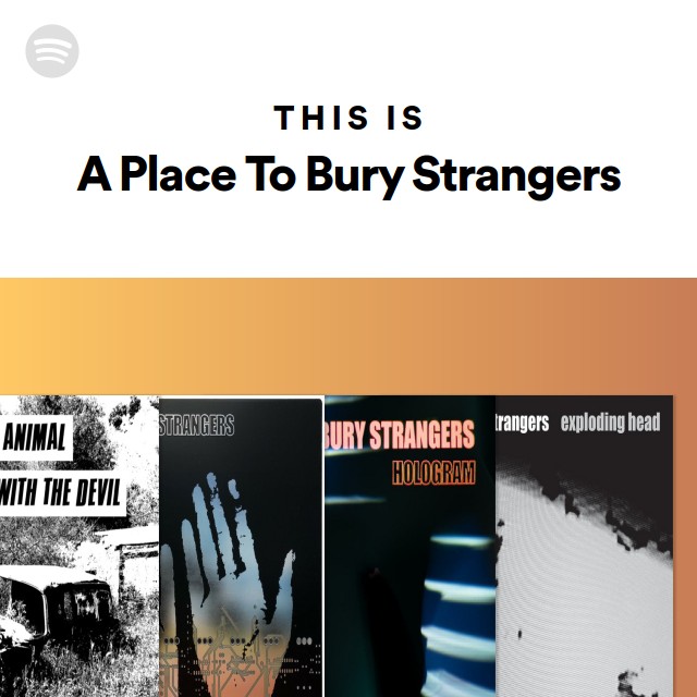 Imagem de A Place To Bury Strangers