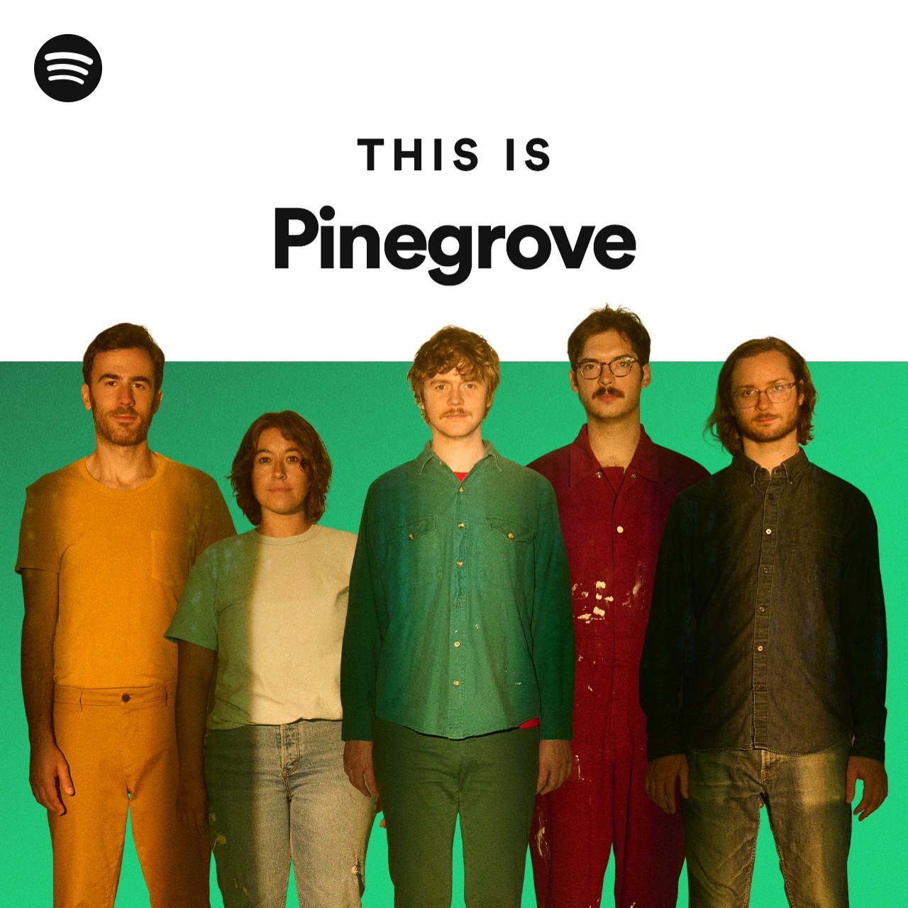 This Is Pinegrove