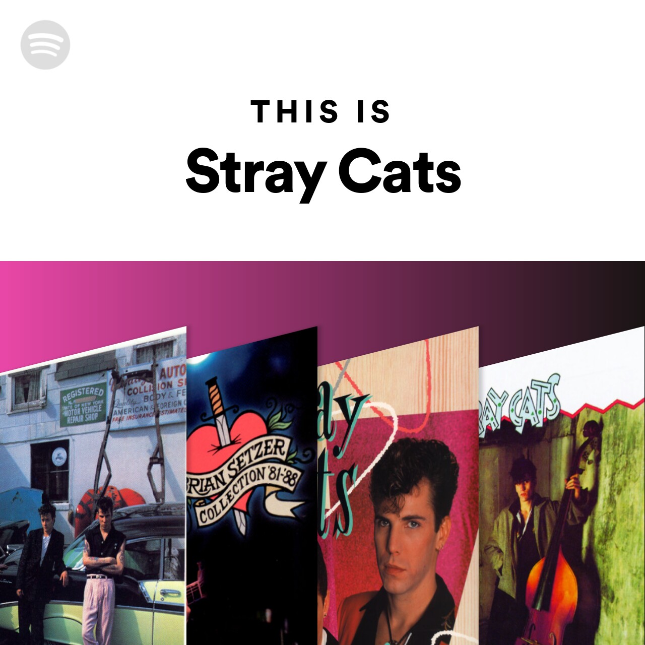 This Is Stray Cats