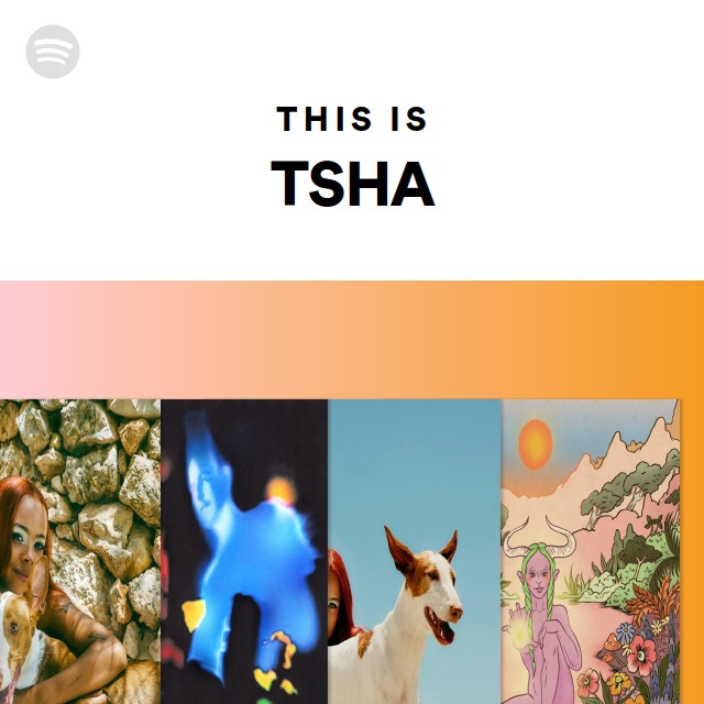 This Is TSHA - playlist by Spotify | Spotify
