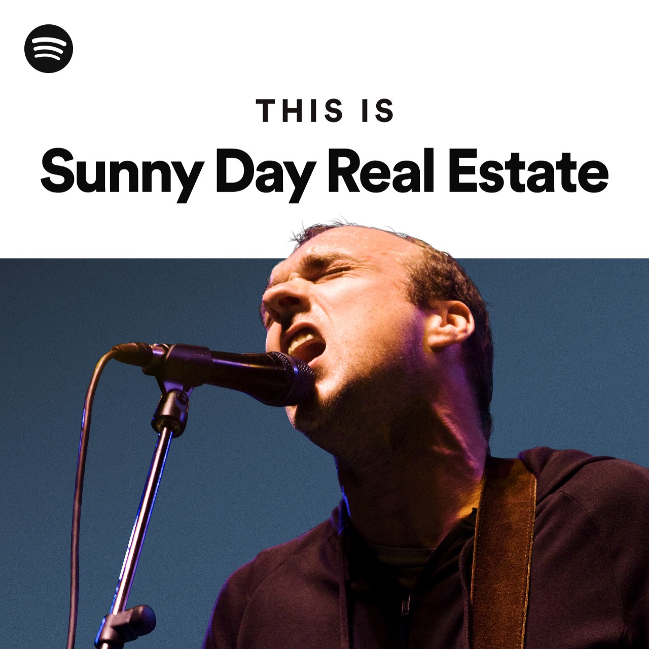 This Is Sunny Day Real Estate