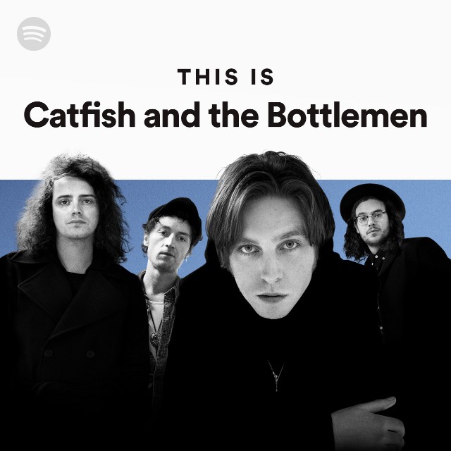 Imagem de Catfish And The Bottlemen