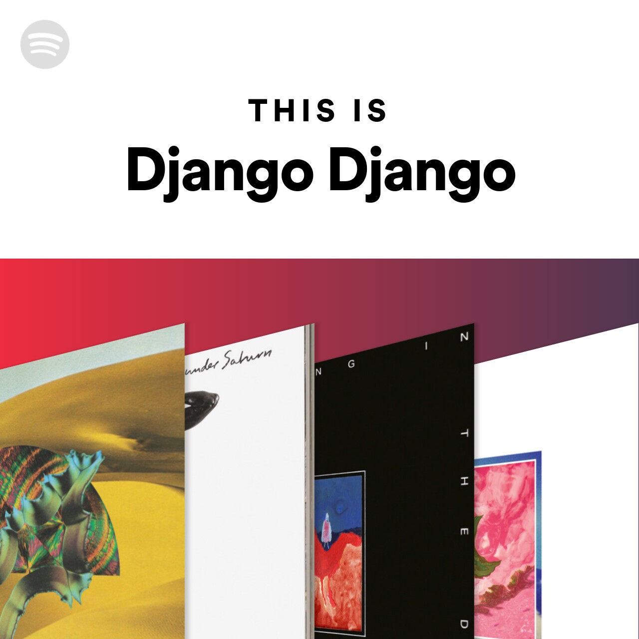This Is Django Django