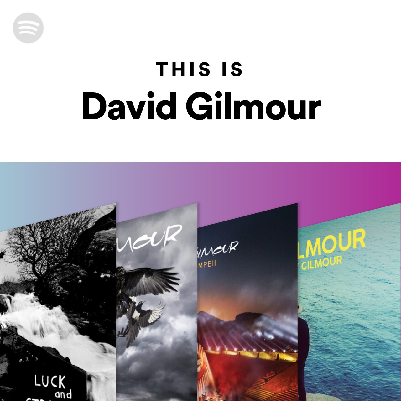 This is David Gilmour