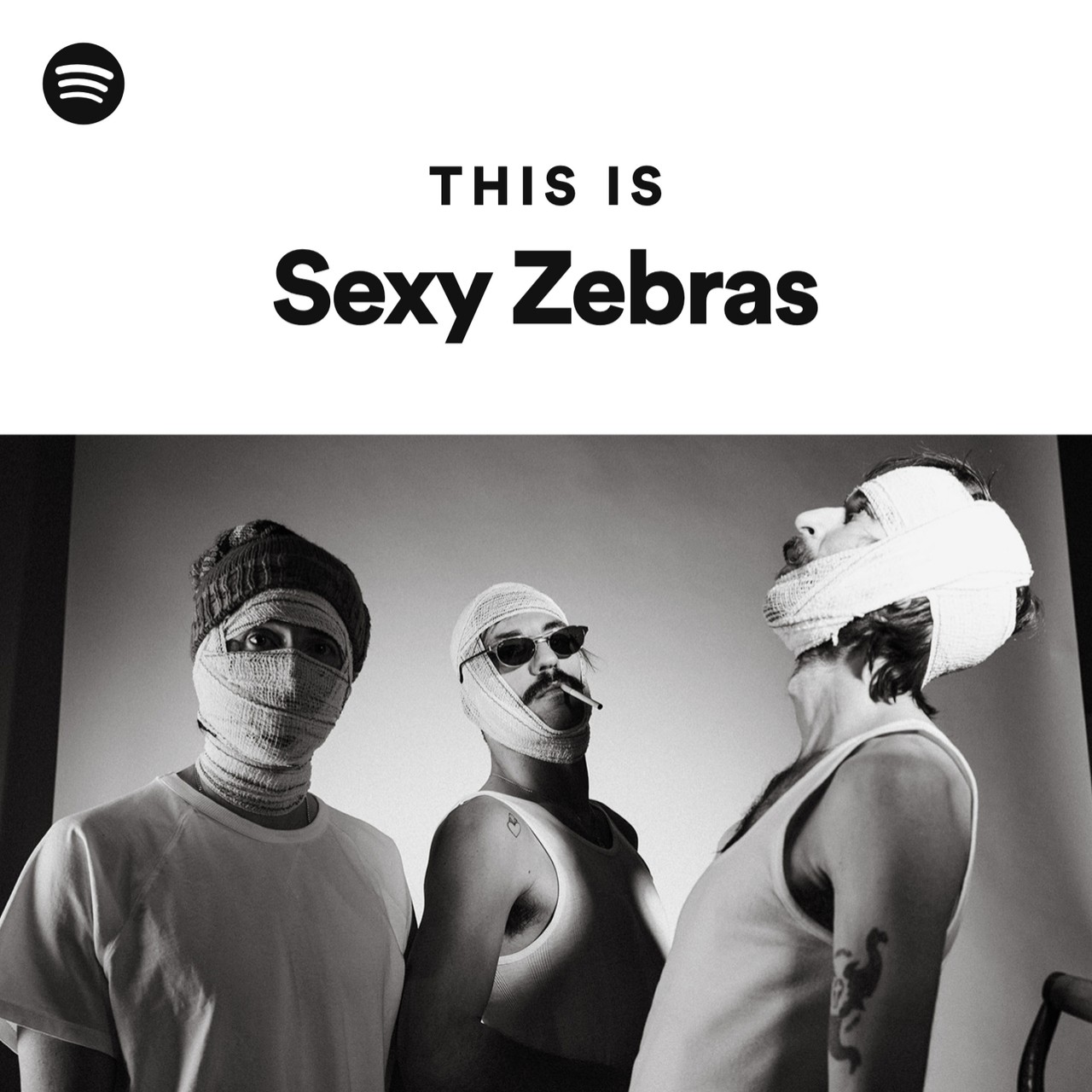 This Is Sexy Zebras