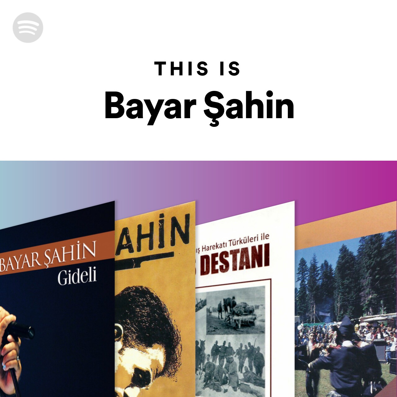 This Is Bayar Şahin