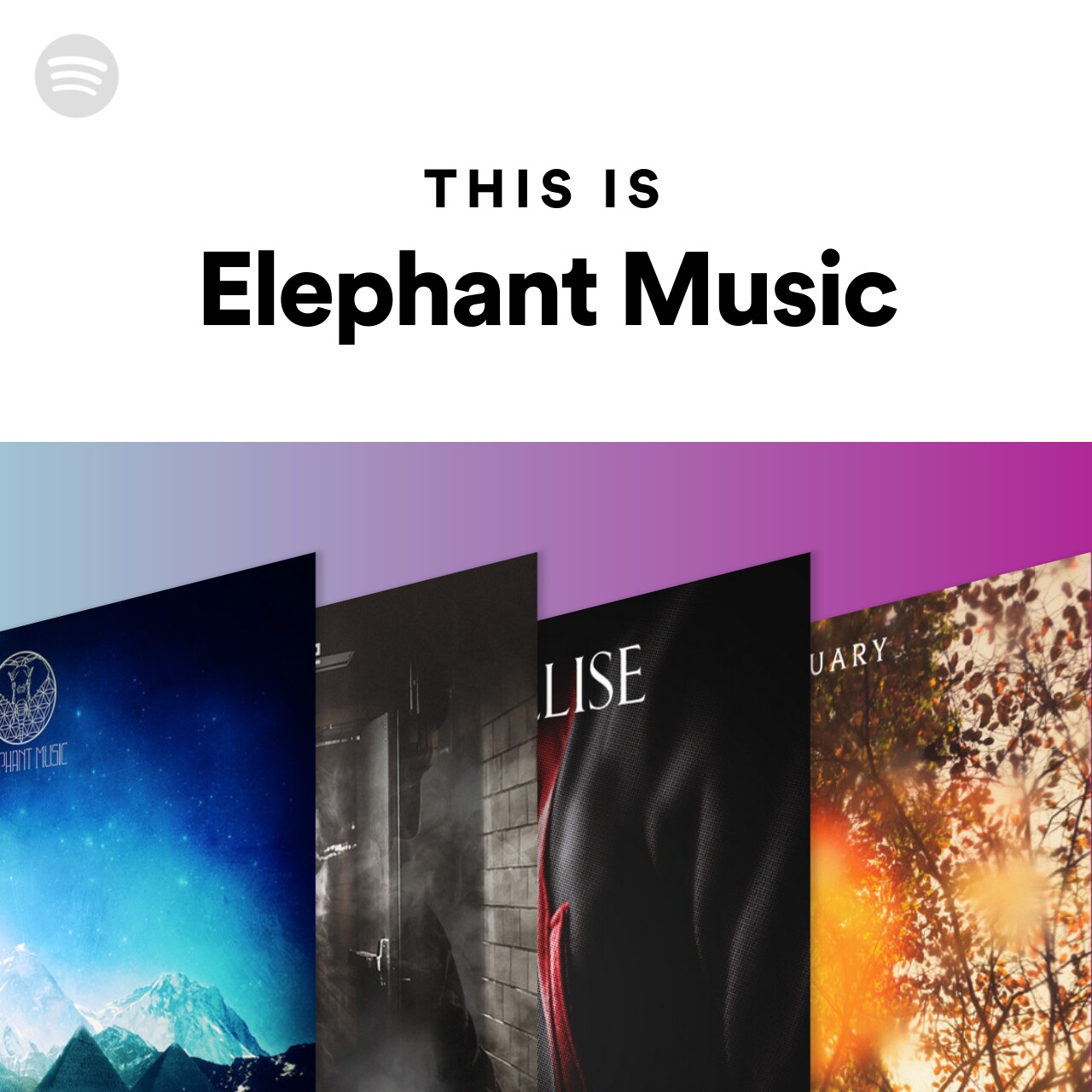 This Is Elephant Music