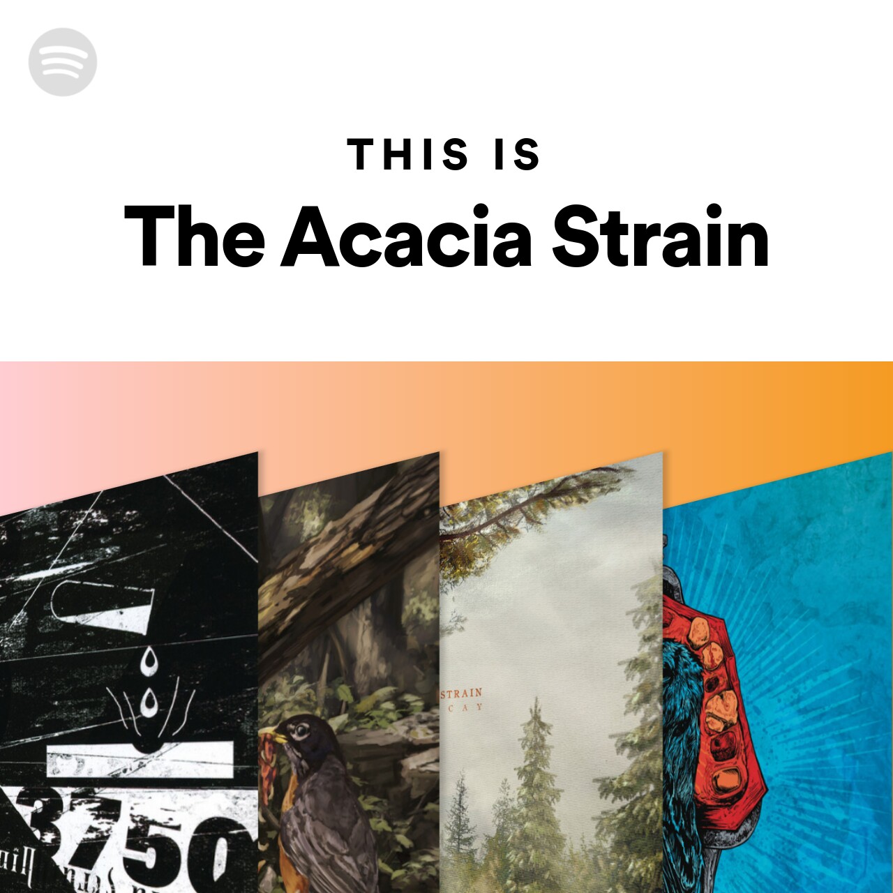 This Is The Acacia Strain