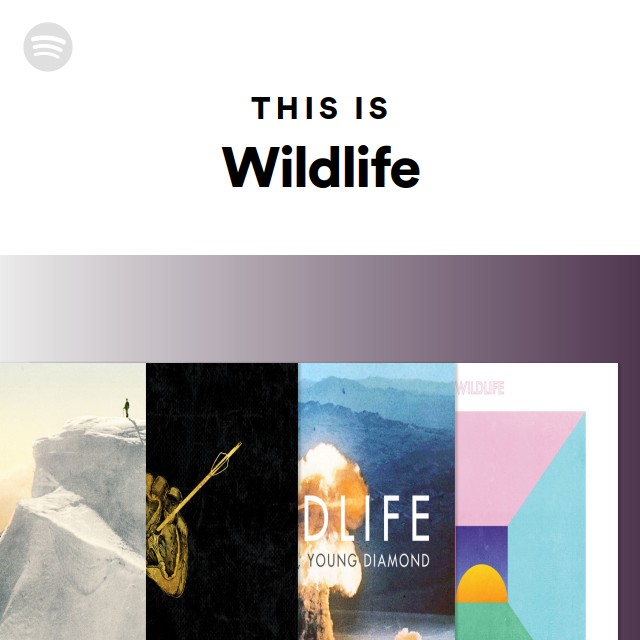 This Is Wildlife - playlist by Spotify | Spotify