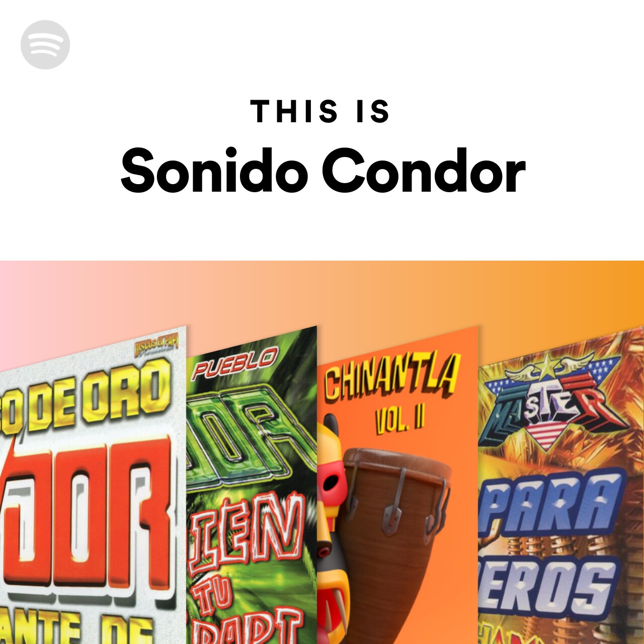 This Is Sonido Condor