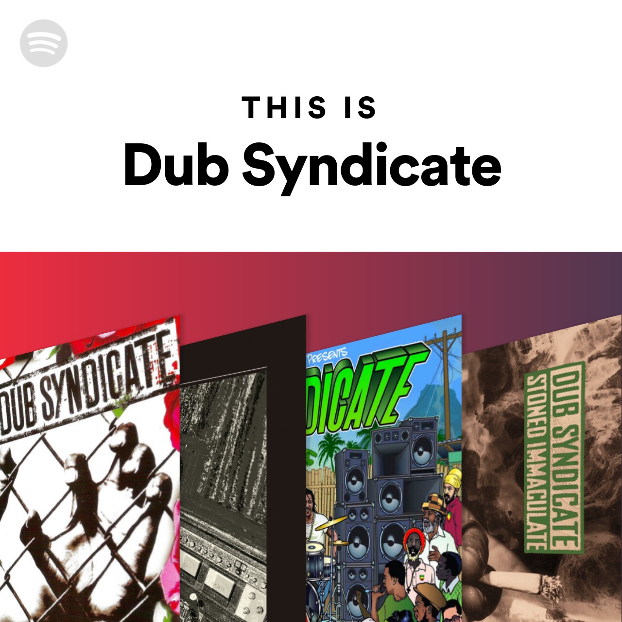 This Is Dub Syndicate