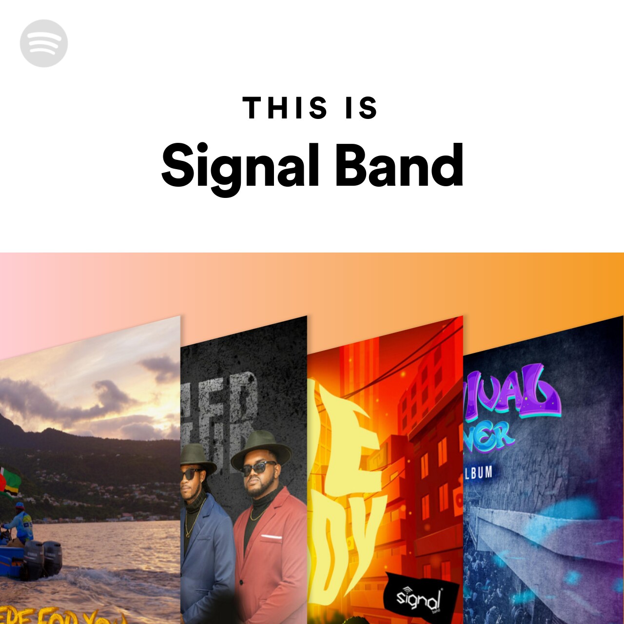 This Is Signal Band