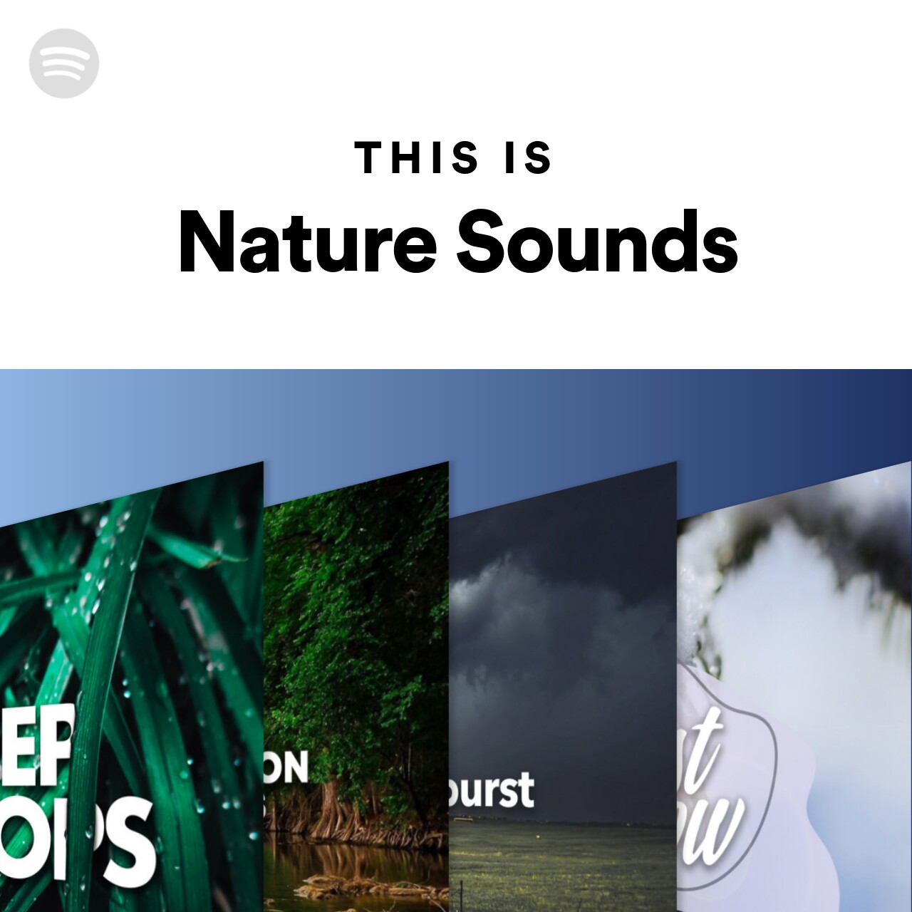 This Is Nature Sounds