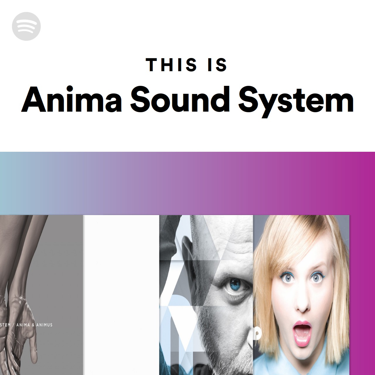 This Is Anima Sound System