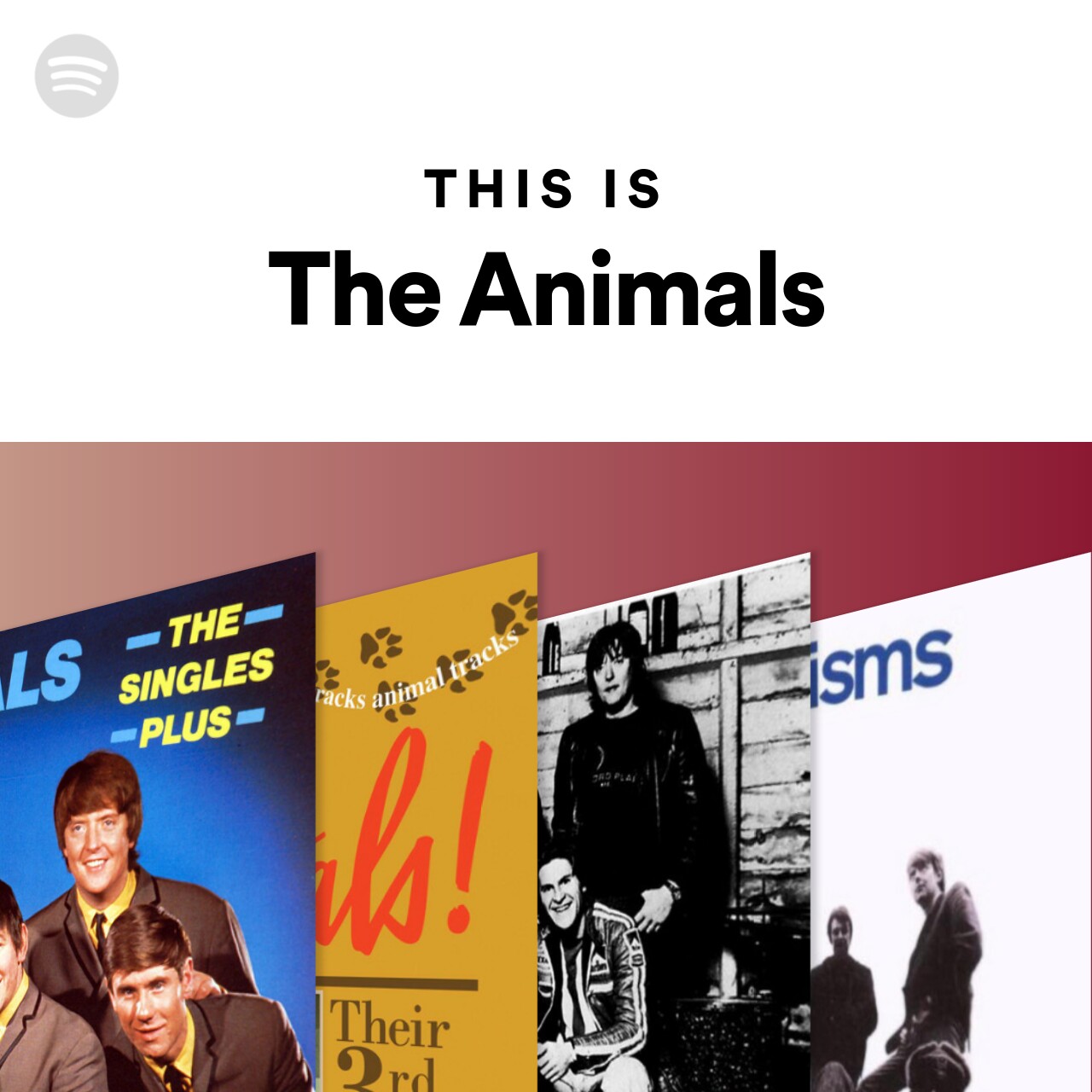 This Is The Animals
