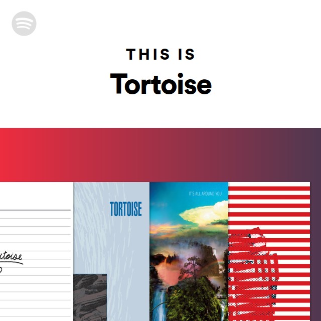 Tortoise | Spotify