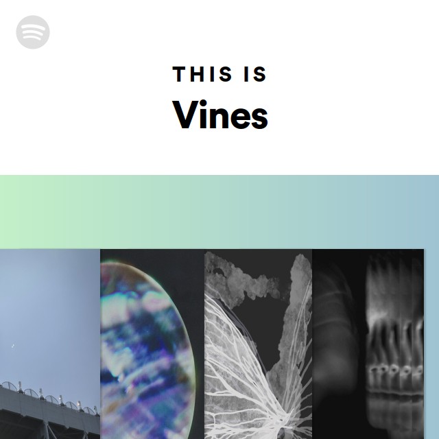 This Is Vines | Spotify Playlist