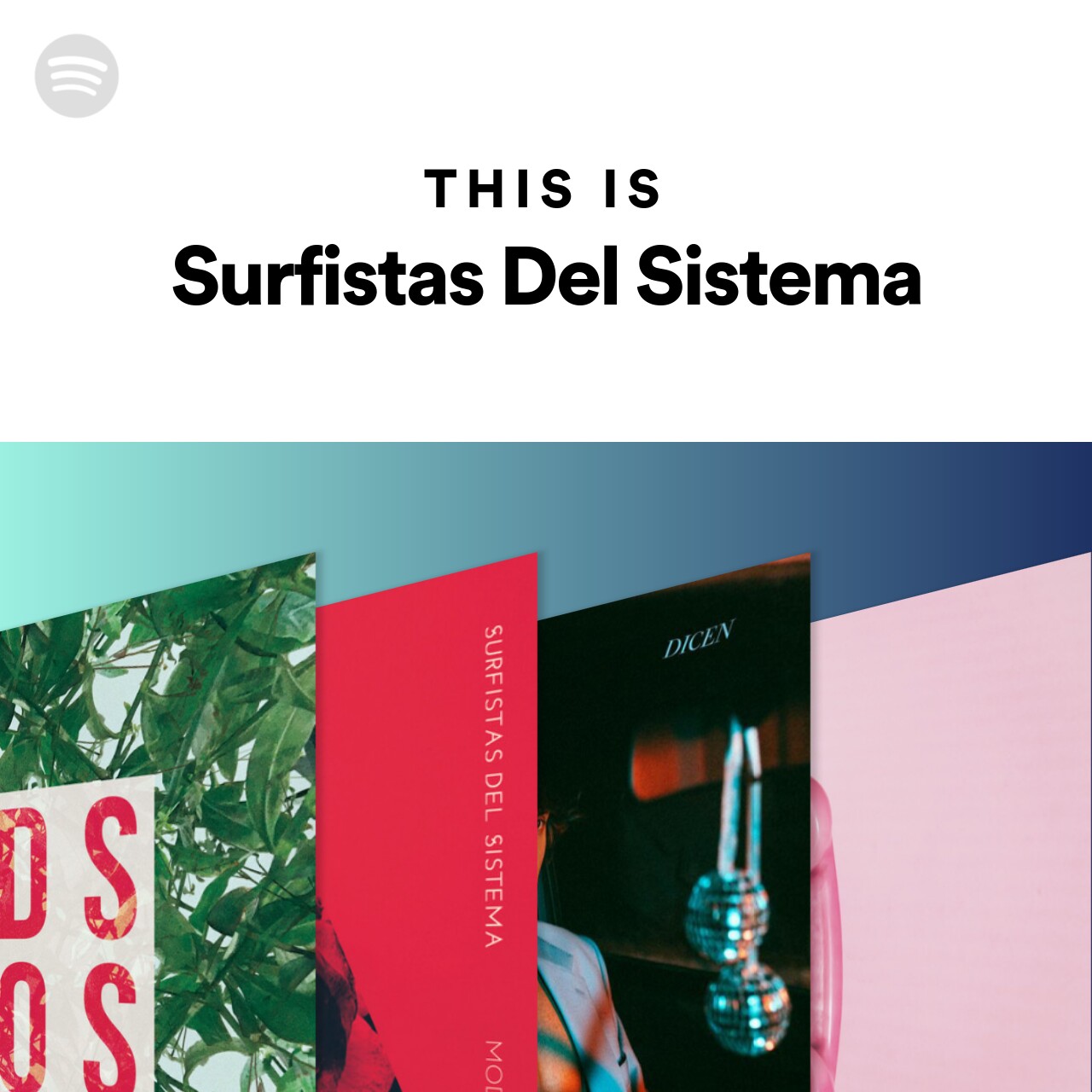 This Is Surfistas Del Sistema