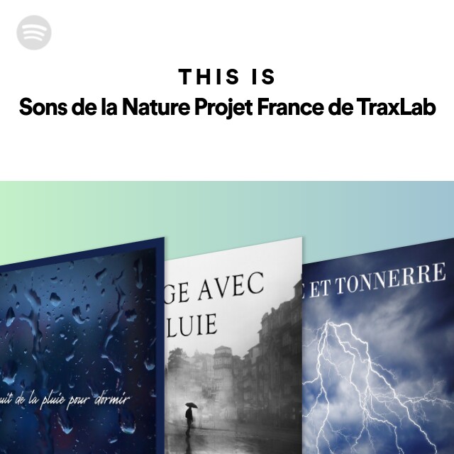 Sons de la Nature Projet France de TraxLab - Bruit de la pluie