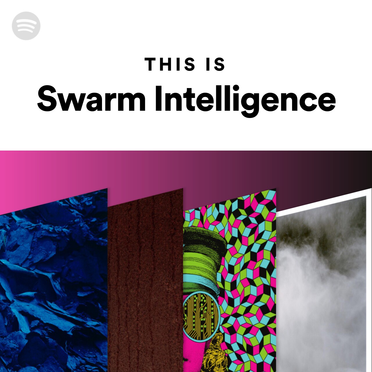 This Is Swarm Intelligence