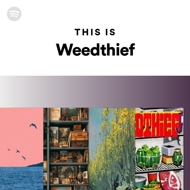 This Is Weedthief - playlist by Spotify | Spotify
