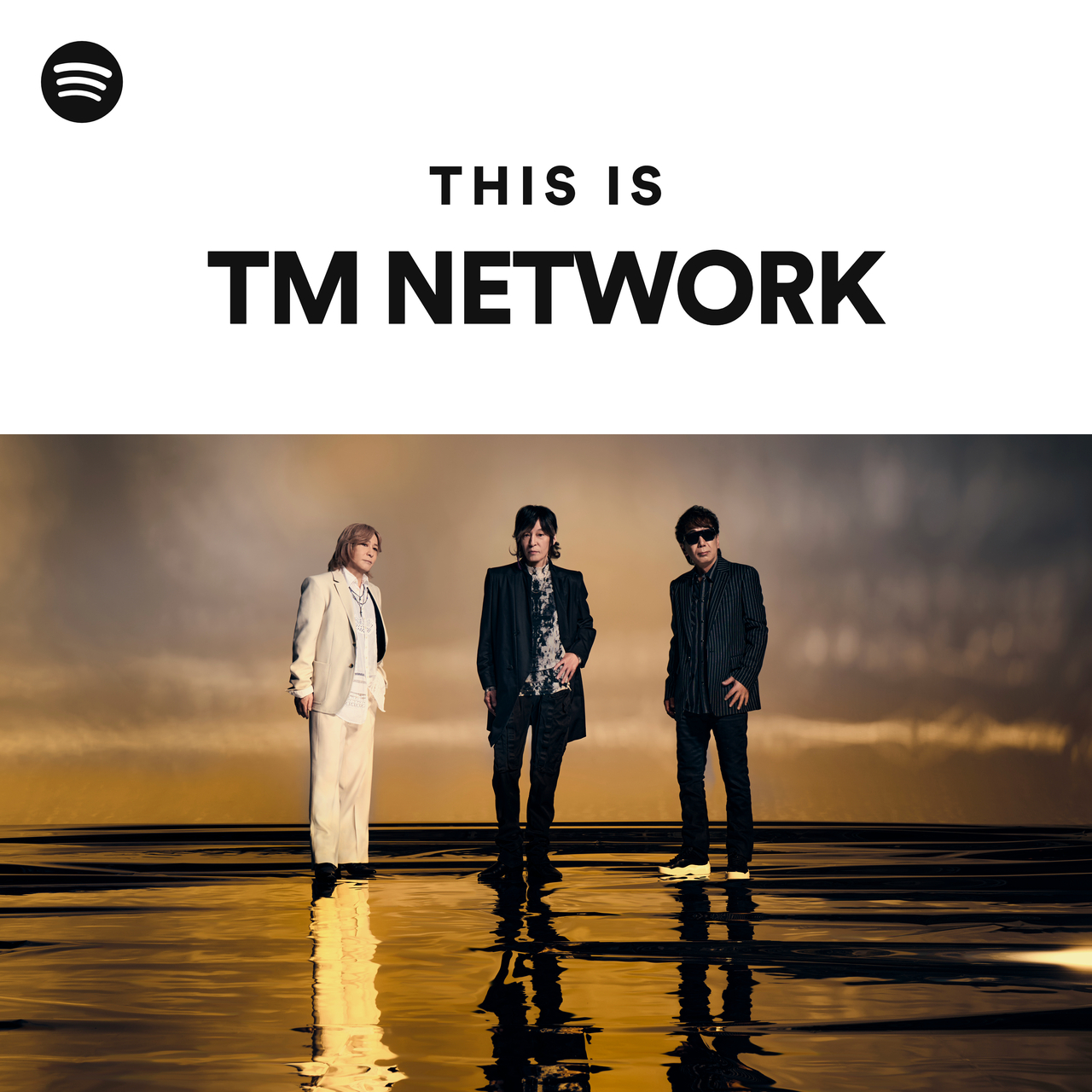 TM NETWORK | Spotify
